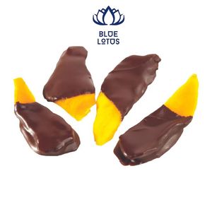 Mangues séchées durables de haute qualité enrobées de chocolat – Les morceaux de fruits premium incontournables, best-sellers pour les collations (vente en gros) - Product Image 1