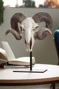 ภูเขาหัวกระโหลกแพะ - Product Image 1