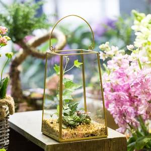 Decoración para el Hogar, Terrario Personalizado de Metal y Vidrio en Forma de Cabaña, Macetero de Vidrio para Plantas de Interior, Suculentas, Plantas Aéreas y Terrarios DIY - Product Image 4