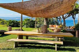 ใบกะลามะพร้าวคุณภาพส่งออกจากผู้ผลิตชั้นนำของเวียดนาม - Product Image 2