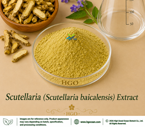 HGO Factory Direct Supply Baical Skullcap Root (Scutellaria baicalensis) Extract (Food Grade) 4:1 5:1 10:1 20:1 100:1 200:1 - Product Image 1