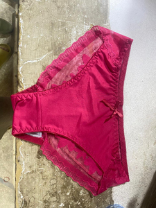 Bikini de malla con encaje sexy transparente, lencería íntima femenina sin costuras, antibacteriana y ecológica, de talle medio con logo. - Product Image 6