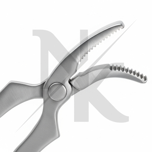 Nuevo Lanzamiento: Herramienta de Herrador de Acero Inoxidable Duradero y Resistente a la Corrosión para el Cuidado Profesional de Caballos - Product Image 2