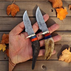 Juego de 20 Cuchillos Mini Damascus EDC de Hoja Fija para Caza y Uso General, Mango de Madera Multicolor, Punta de Gota, Venta al por Mayor, Envío Directo - Product Image 2