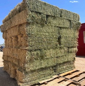 Heno de Alfalfa Verde Fresco de Primera Calidad, Alto en Fibra, Ingredientes 100% Naturales, Alimento Nutritivo para Ganado y Caballos, Empaque Personalizado - Product Image 4