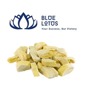 DURIAN LIOFILIZADO SUSTENTABLE MÁS VENDIDO, CRISPEO POR AFUERNO, SUAVE POR EL INTERIOR, SABOR AUTÉNTICO A FRUTA - Product Image 1