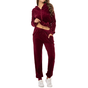 Women <b>Velvet</b> <b>Tracksuit</b> Set Hooded Full Sleeve Solid Color Casual Pants With Side Pockets Autumn Wear - Product Image 1