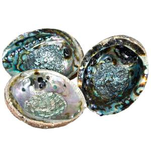 Coquilles d'ormeau du Vietnam de qualité supérieure pour incrustation de coffrets cadeaux de luxe et décoration de papeterie haut de gamme utilisant des coquillages marins polis à la main - Product Image 1