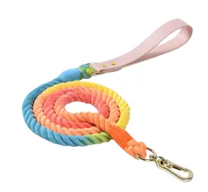 Corde en coton arc-en-ciel et laisse pour chien en cuir Corde en coton colorée personnalisée Laisse pour chien faite à la main Ensemble de laisse pour animaux de compagnie