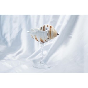 Ensemble de 2 verres à vin en verre et coquillages marins, très tendance, un élément élégant pour les collections de barware. - Product Image 2