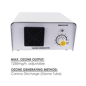 Generador de Ozono por Descarga Corona de 1000 mg/h, Máquina de Ozono Ajustable de 1 g/h para Tratamiento de Agua y Purificación de Aire - Product Image 1