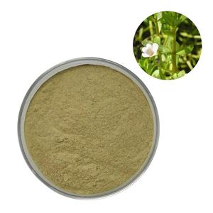 Polvo de Bhringraj 100% Auténtico al por Mayor, Grado Cosmético Herbal, Polvo de Hoja de Bhringraj para el Cuidado del Cabello y Nutrición del Cuero Cabelludo - Product Image 1