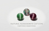 Pierres précieuses naturelles Alexandrite œil de chat, cabochons ovales certifiés pour la fabrication de bijoux