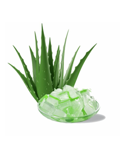 HIGH-QUALITY, PURE FRESH ALOE VERA, WHOLESALE, IN SYRUP FORM WITH PULP, FOR JUICING, <b>DICED</b> - Product Image 1