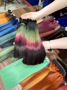 Nuevos Paquetes de Color 2026: Cabello Humano 100% Liso Extremo, Trama Gruesa con Puntas Cortables, Extensiones de Cabello Humano - Product Image 6