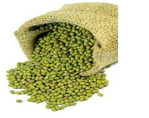 Nueva cosecha de frijoles mung verdes en venta - Product Image 3