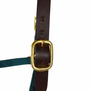 Cabestro de nailon verde cetrero para caballo con corona de cuero genuino, ajustable, seguro y duradero para equitación - Product Image 5