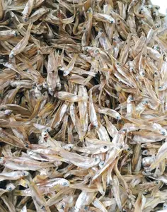 ספקית מאכלי ים מעולה מ ויטנאם מכירת דגים אנשובי מיובשים עם מחיר טרי וזול