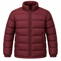 Veste matelassée légère à capuche pour homme, 100% coton, coupe-vent d'hiver, fermeture éclair, matière douce, décontractée, imperméable