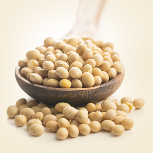 ถั่วเหลือง GMO คุณภาพสูง ขายส่ง พร้อมสำหรับธุรกิจนำเข้าส่งออกระหว่างประเทศ - Product Image 1