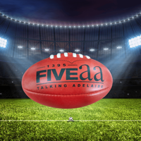 Haute demande Promotionnel Mini AFL Football Ball En Caoutchouc Synthétique Matériel Durable Personnalisé Impression Match International