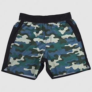 Blaze Fight Wear Short de sport personnalisé pour hommes Séchage rapide Léger Course à pied Basketball Fitness Shorts Confort Ceinture élastique Solide - Product Image 1