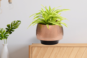 Pots de fleurs décoratifs haut de gamme en gros – Jardinières élégantes pour l'intérieur et l'extérieur destinées aux détaillants - Product Image 6