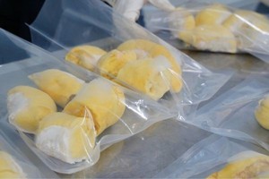 Durian Congelado 100% Natural de Primera Calidad, Origen Vietnam - Product Image 3