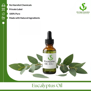 Eucalyptus Oil for Fragrance Industry Applications Cosmetic Product Development Personal Care Manufacturing Soap Production - Product Image 1