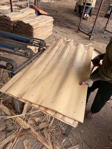 Placage de bois de caoutchouc naturel 100% écologique, coupé rotativement, pour panneaux de meubles - Product Image 2