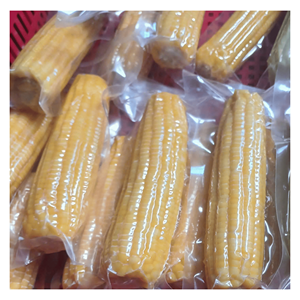 Maíz Congelado IQF elaborado con granos de maíz dulce tierno para mezclas de verduras congeladas, sopas y preparados listos para cocinar, Vietnam - Product Image 6