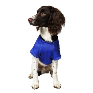 Robes pour chiens en maille unie bleue à imprimé animal, respirantes, pour les loisirs, toutes saisons, lavage à la main uniquement - Product Image 1