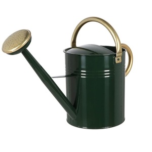 Top Quality Newest Design <b>Garden</b> Watering Can Home Use New Traditional Style Sky Blue Finishing Water Storage Can Hot Selling - Product Image 4