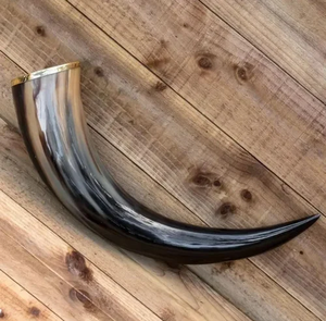 Buffalo <b>Decorative</b> Horn Item Pair Horn Amazing Price Houseware High Quality Buffalo Horn <b>Decorative</b> Pair - Product Image 5