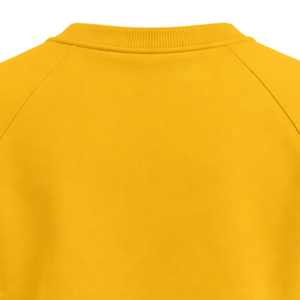 Gold Women Crew Neck Sweatshirt Greek Letter 1922 Graphic <b>Long</b> <b>Sleeve</b> Casual Pullover <b>Top</b> with White <b>Blue</b> <b>Sleeve</b> Stripes - Product Image 4