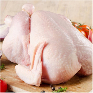 Pollo Entero Congelado Halal de Calidad - Product Image 5