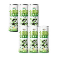 Koolzuurhoudende dranken met fruitige smaak, 320ml blikjes, frisdrankfabrikant, logo aanpassing, gratis sample, bruisende melk