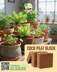 Bloque de Turba de Coco Bajo en EC para Horticultura y Jardinería COCO HITECCH - Product Image 1