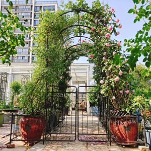Arco da Giardino in Metallo 79,5 L x 86,6 H con Cancello, Supporto per Piante Rampicanti da Esterno, Traliccio per Rose, Prodotto di Qualità per Recinzioni e Cancelli - Product Image 2