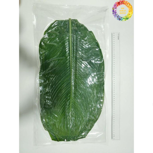 Hojas de Dong Frescas Más Vendidas a Bajo Precio, Grandes, Flexibles y Perfectas para Envolver Pasteles de Arroz Tradicionales y Platos Festivos - Product Image 3