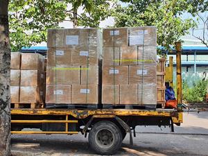 Bon prix sur Paille de gazon biodégradable écologique Accessoire de boisson naturel et éco-conscient pour le marché américain et européen - Product Image 2