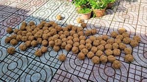 Fabricante de juguetes para perros de gran demanda en Vietnam |   Juguete para Limpiar los Dientes de Perros |    Juguete Masticable Ecológico para Perros al por Mayor - Product Image 3