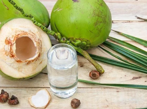 Coco Fresco Vietnamita con Cáscara Natural, Aplicado para Distribución de Bebidas y Venta al por Mayor - Product Image 2