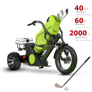 ईक cc m6g 3-पहिया इलेक्ट्रिक कार्गो ट्राइसाइकिल साइटोको 12 "वसा टायर डिस्क ब्रेक गोल्फ स्कूटर cc प्रमाणित इलेक्ट्रिक ट्रॉली - Product Image 5