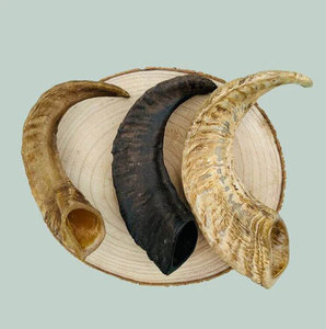 Artículo decorativo ecológico moderno de cuerno de búfalo, 3 piezas en forma y color natural para decoración del hogar. - Product Image 1