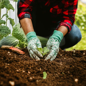 Abono de Estiércol de Vaca Orgánico 100% Natural de Primera Calidad, Fertilizante en Polvo para Mejorar el Suelo, para Todo Tipo de Cultivos, Frutas y Plantaciones de Vegetales - Product Image 1