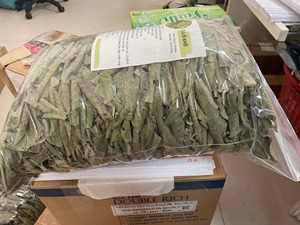 ชาใบฝรั่งเวียดนามคุณภาพสูง 100% ธรรมชาติ ช่วยลดน้ำหนัก ต้านเชื้อแบคทีเรีย บรรจุถุง PP 40 กก. อายุการเก็บรักษา 24 เดือน สำหรับส่งออก - Product Image 6