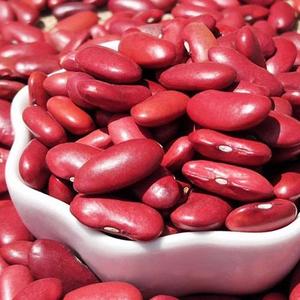 Venta al por mayor de frijoles rojos secos de forma alargada, frijoles rojos británicos para exportación, de alta calidad y gran stock, envío rápido. - Product Image 3