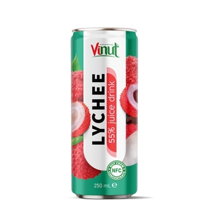 Jus de fruit 55% boisson de jus de pastèque (250ml) -Faible teneur en sucre, échantillon gratuit, prix de gros, marque privée, OEM, ODM - Product Image 4