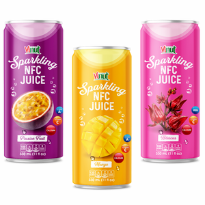 Bebida de Jugo de Mango en Botella de Plástico de 330 ml Sin Azúcar Añadido VINUT Sparkling 75 24 Latas para Distribuidores Mayoristas Importadores Horeca - Product Image 1
